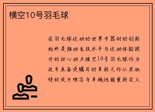 横空10号羽毛球