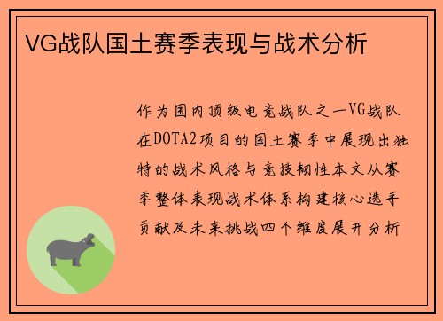 VG战队国土赛季表现与战术分析