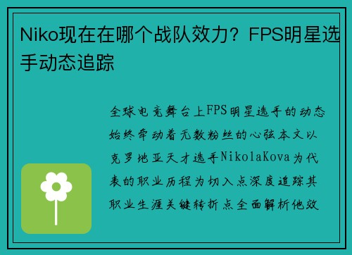 Niko现在在哪个战队效力？FPS明星选手动态追踪